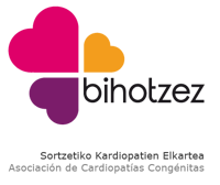 logo-bihotzez