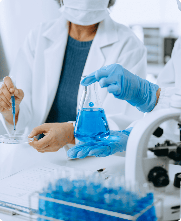 Imagen representativa de Experta